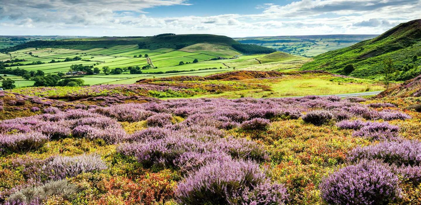Discovery North Yorkshire Ancestors Discovery North Yorkshire Ancestors